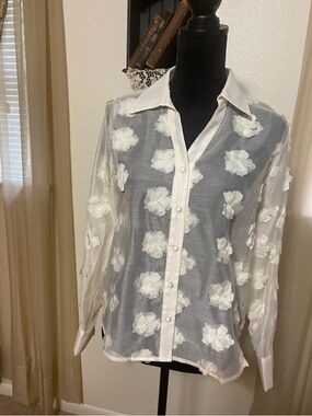 Adrianna Papell Ivory Sheer Floral Appliqué Blouse